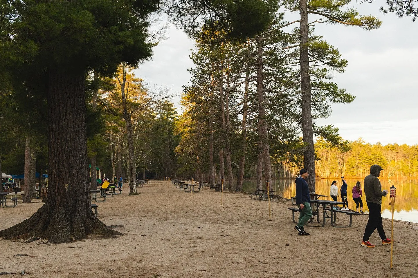 Race morning on the pine-lined beach