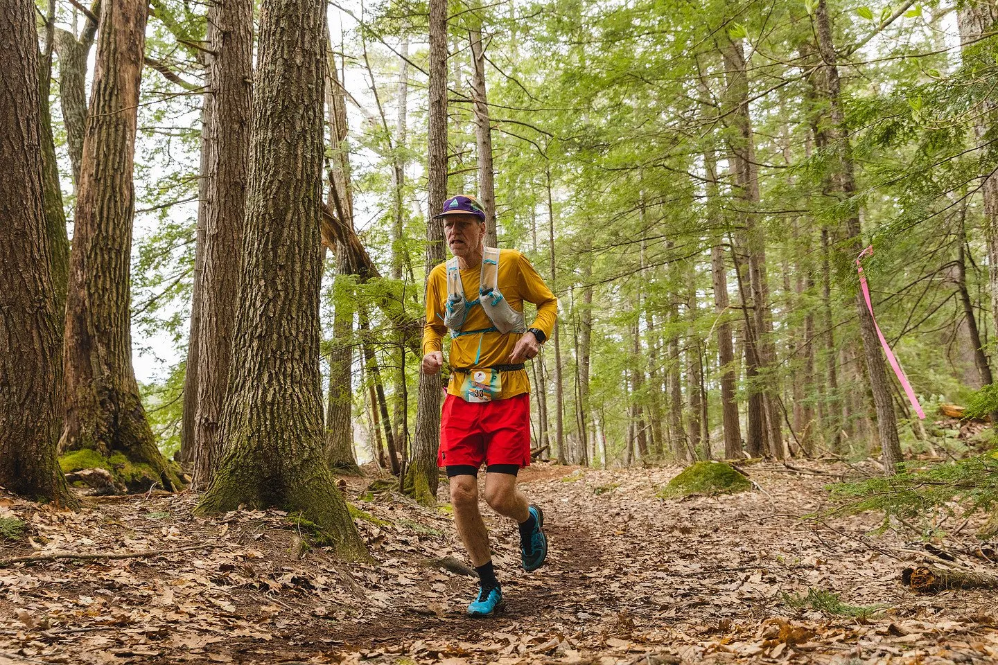 A runner in the open pine forest