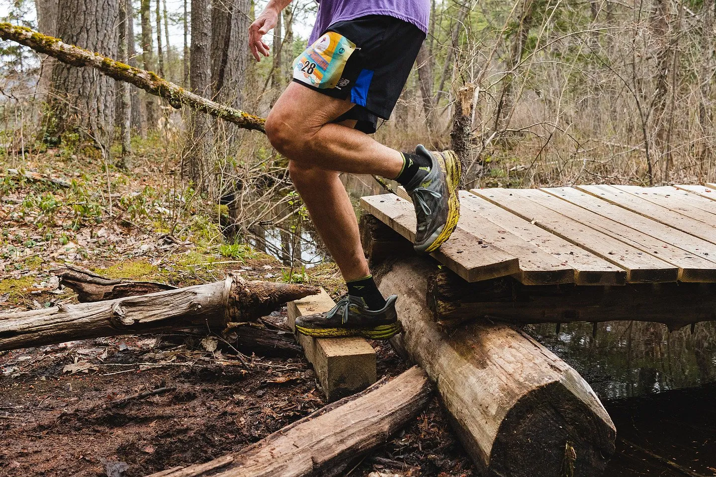 A stride across the boardwalk over the bog