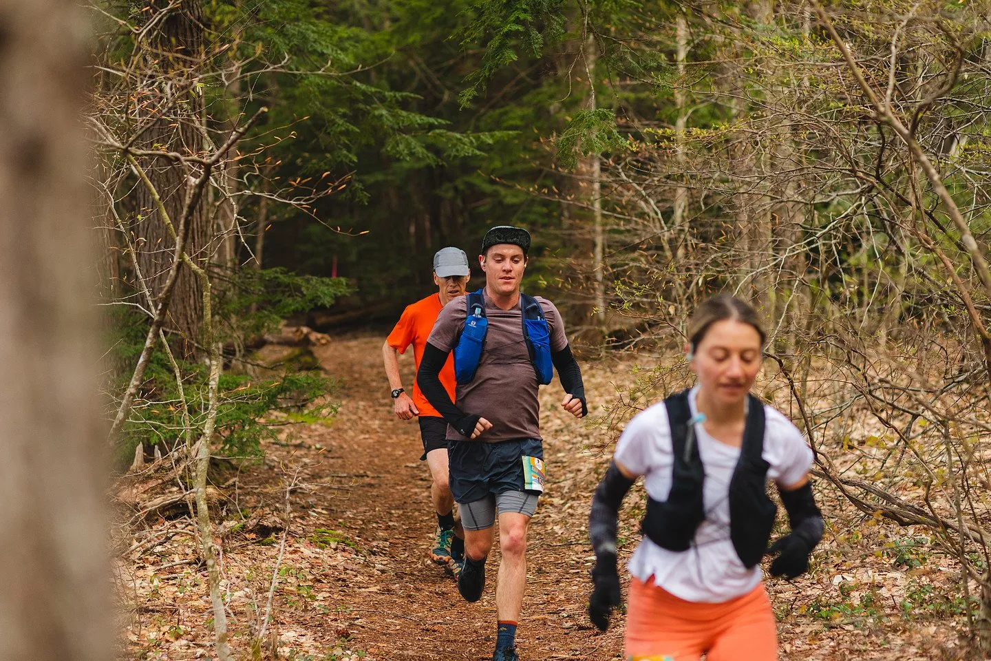 Runners on the singletrack through the pines