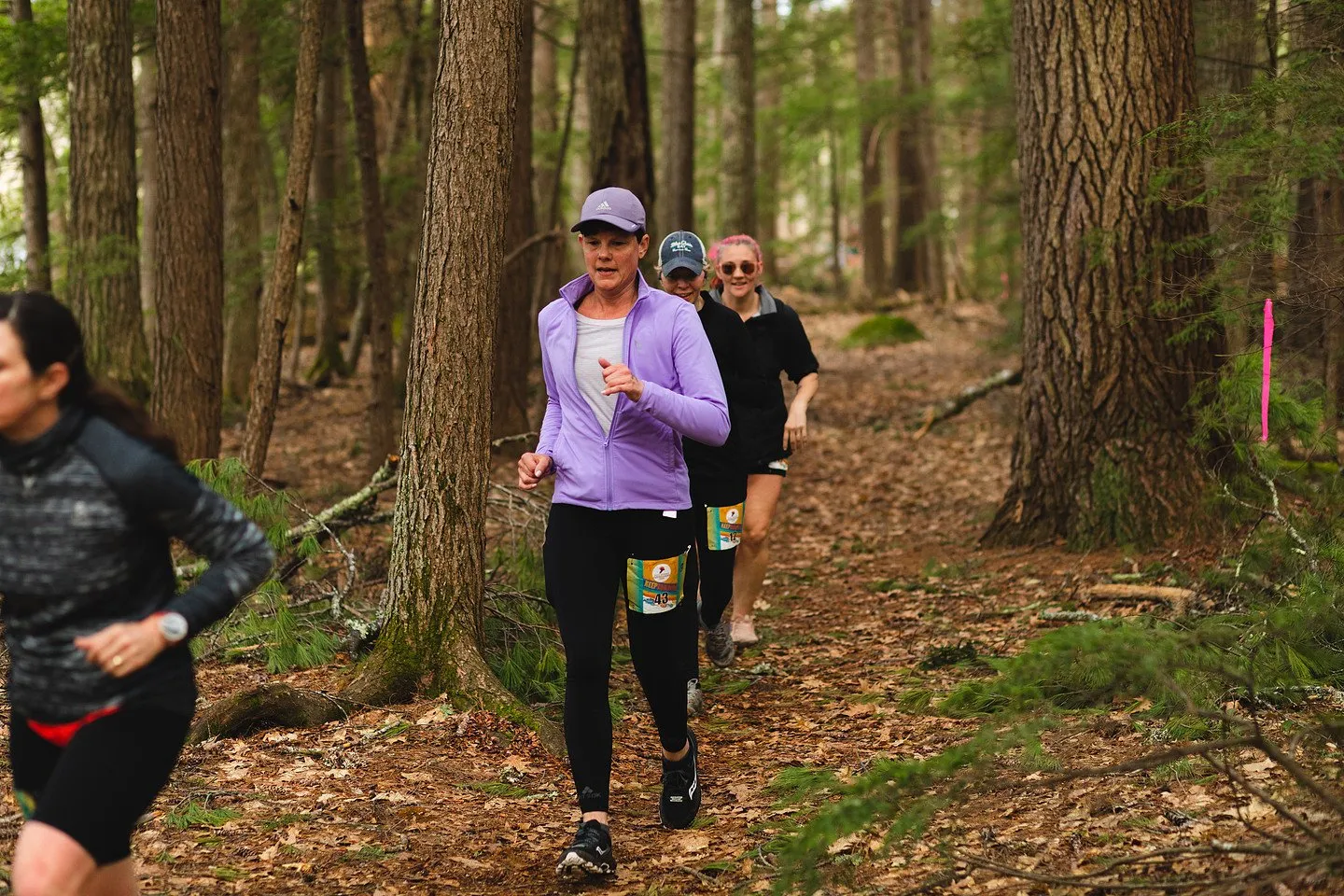 Runners in the hemlock forest