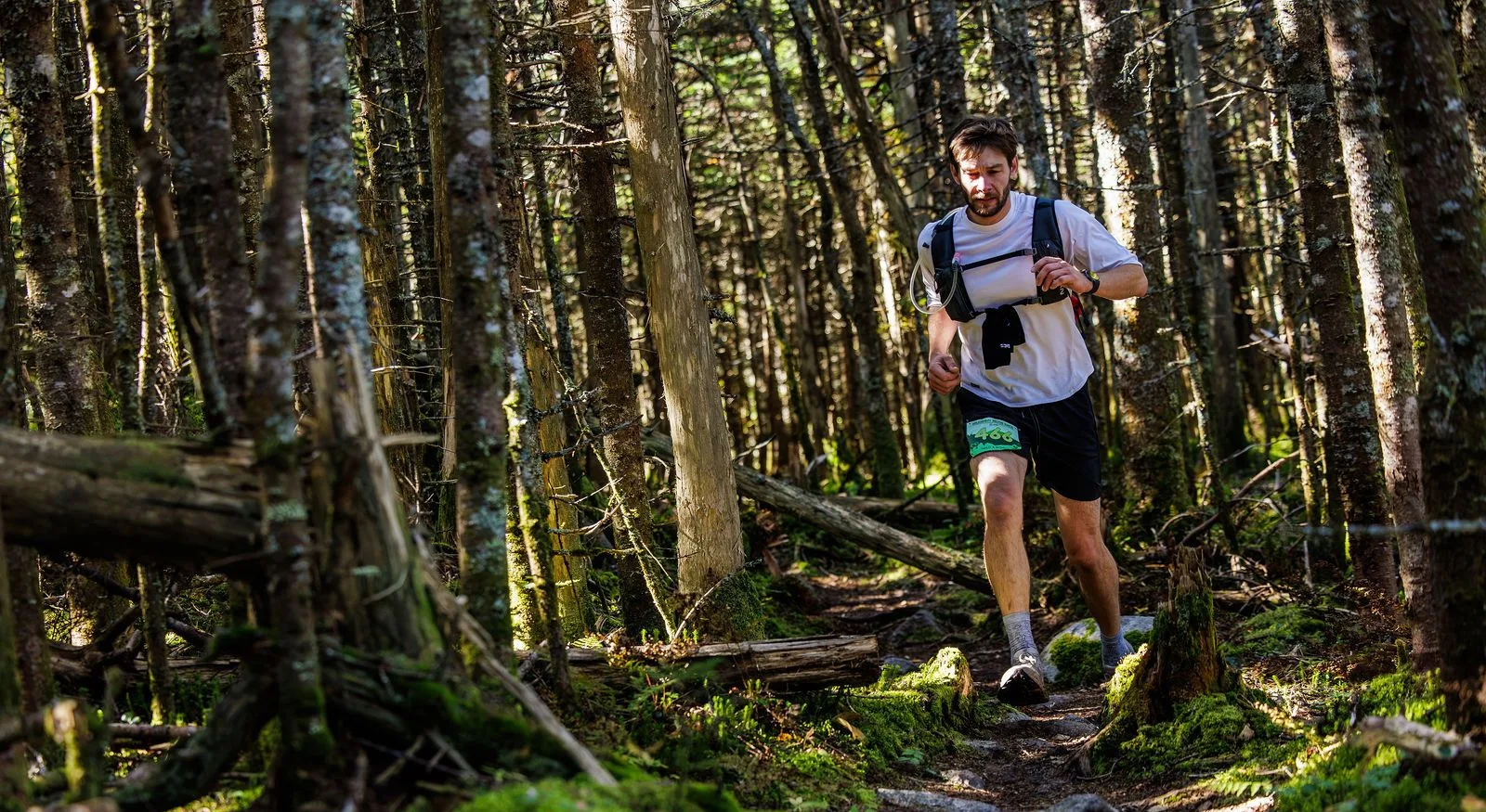Runners in the North Woods on the Kilkenny Ridge Race