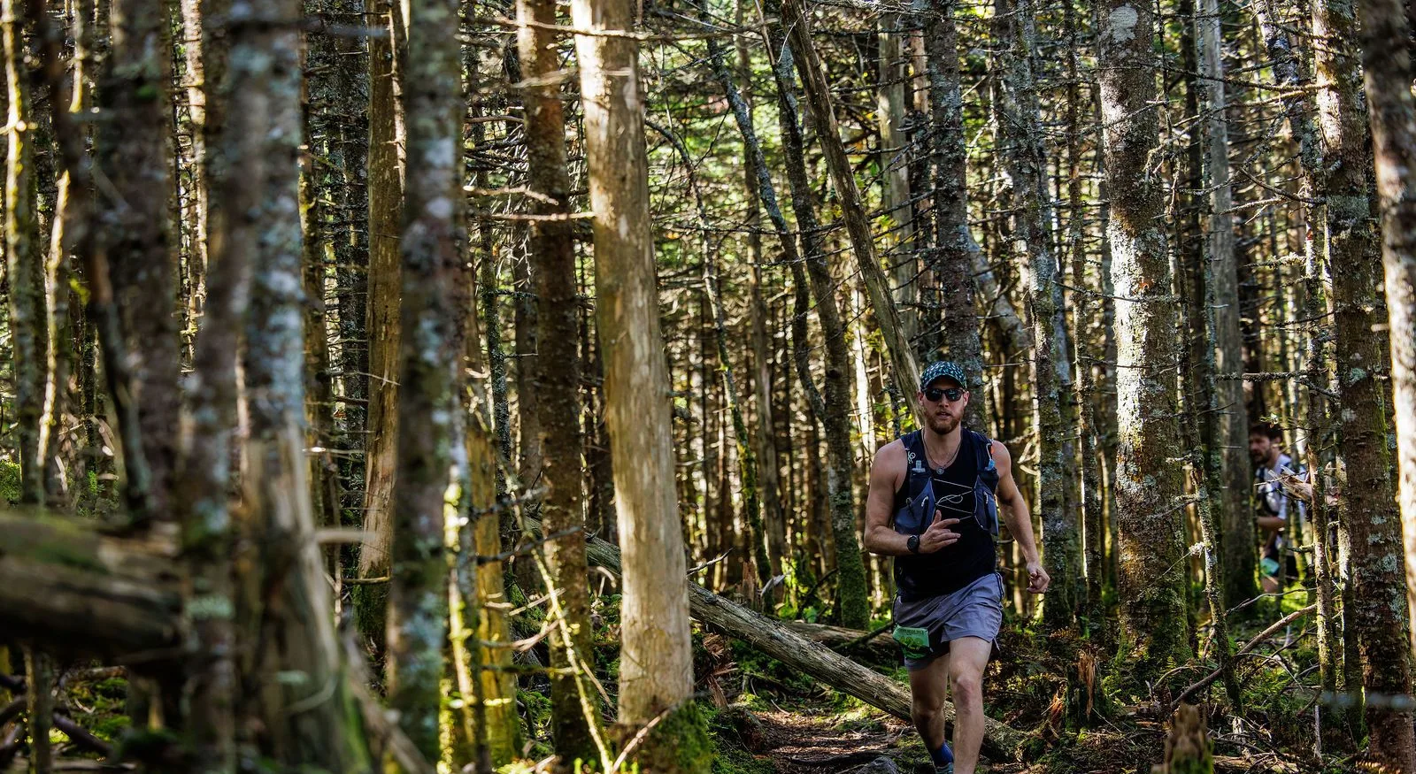 Runners in the North Woods on the Kilkenny Ridge Race