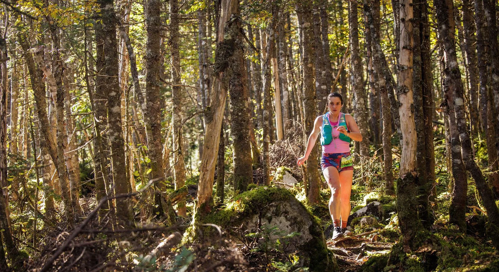 Runners in the North Woods on the Kilkenny Ridge Race