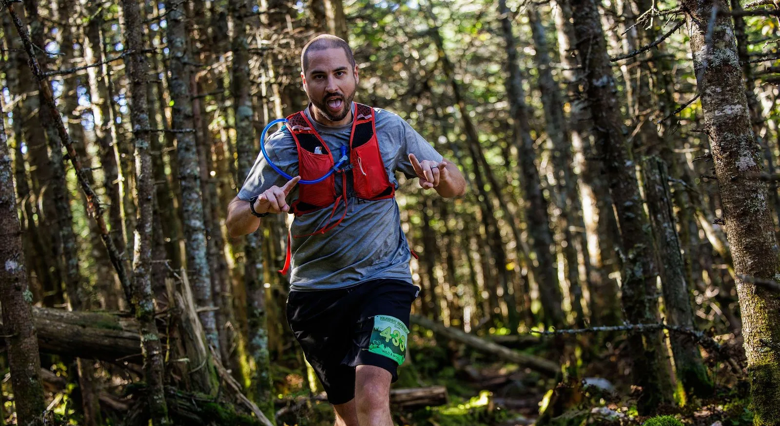 Runners in the North Woods on the Kilkenny Ridge Race