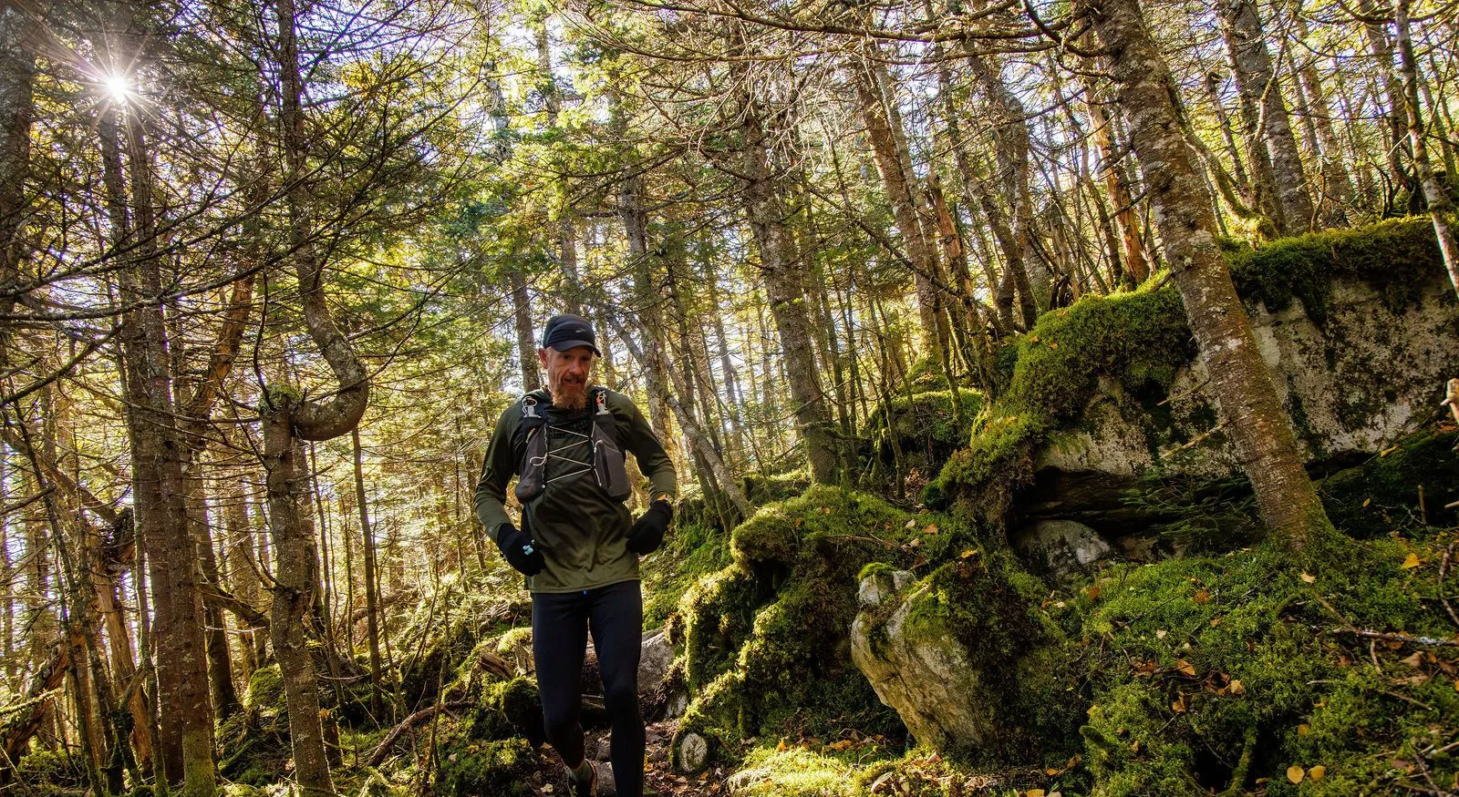 Runners in the North Woods on the Kilkenny Ridge Race