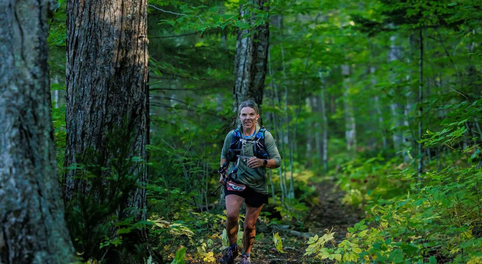 Runners in the North Woods on the Kilkenny Ridge Race