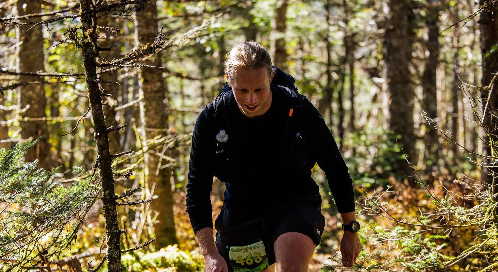 Runners in the North Woods on the Kilkenny Ridge Race