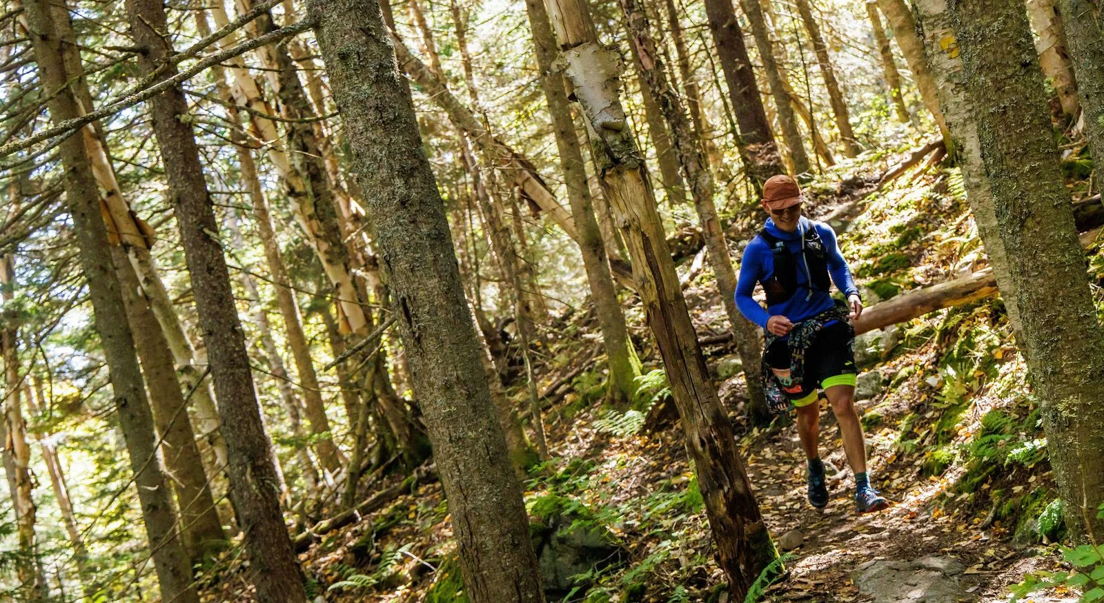 Runners in the North Woods on the Kilkenny Ridge Race