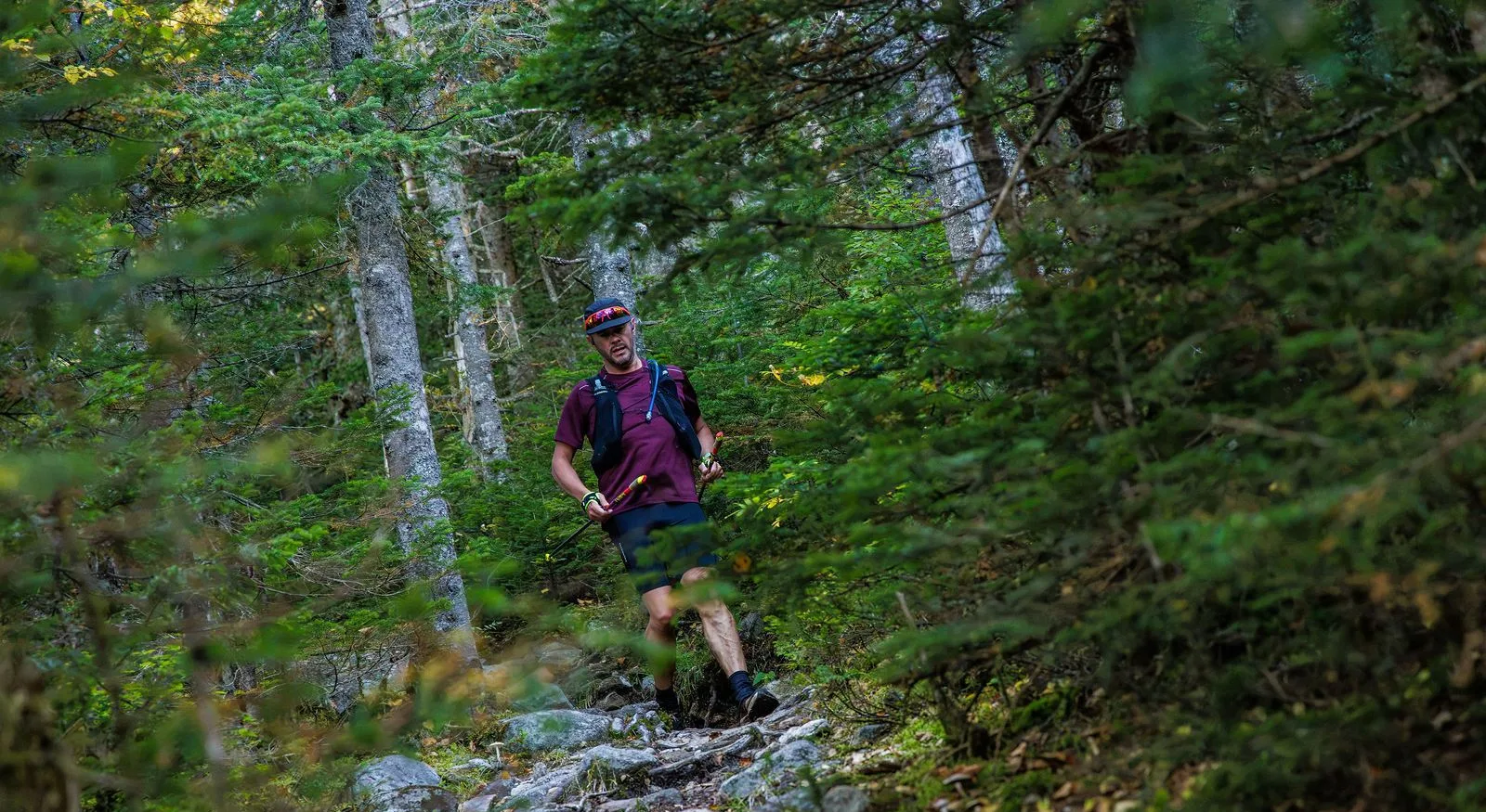 Runners in the North Woods on the Kilkenny Ridge Race