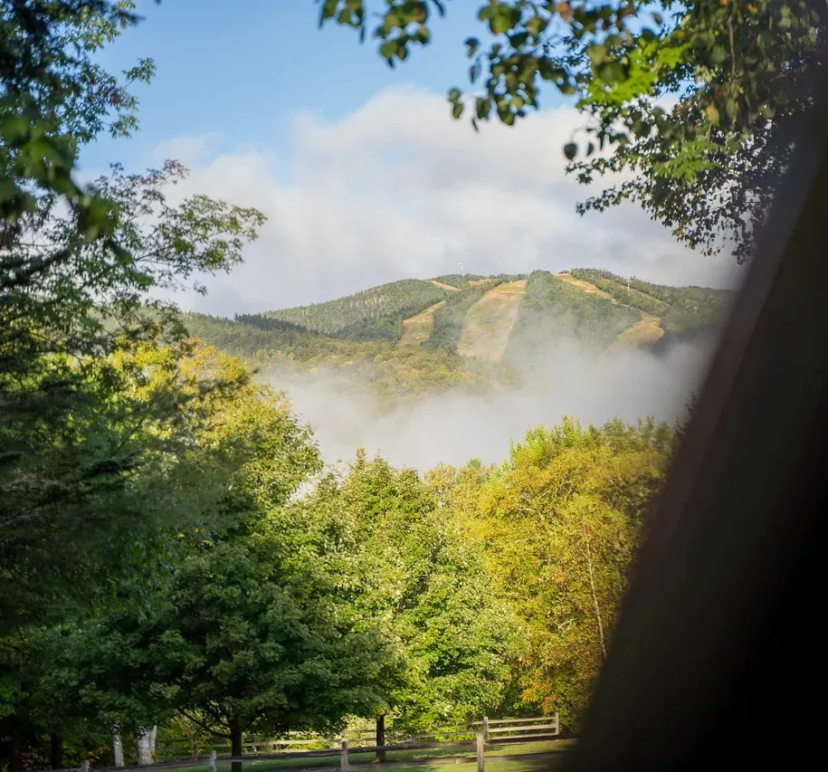 Black Bear Trail Races, Waterville Valley NH