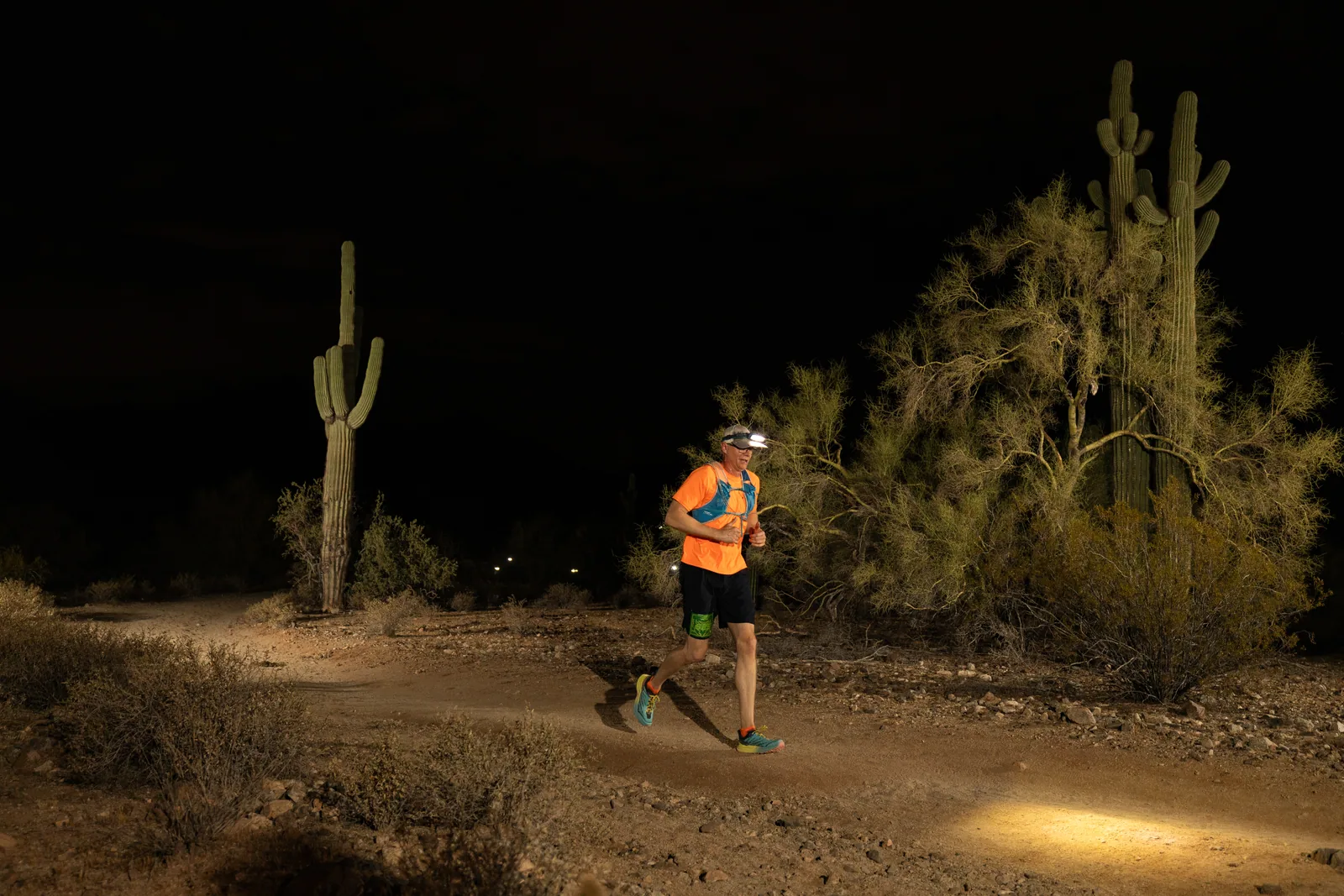 Runners among the saguaros at the Sinister Night Runs in San Tan Mountain Regional Park