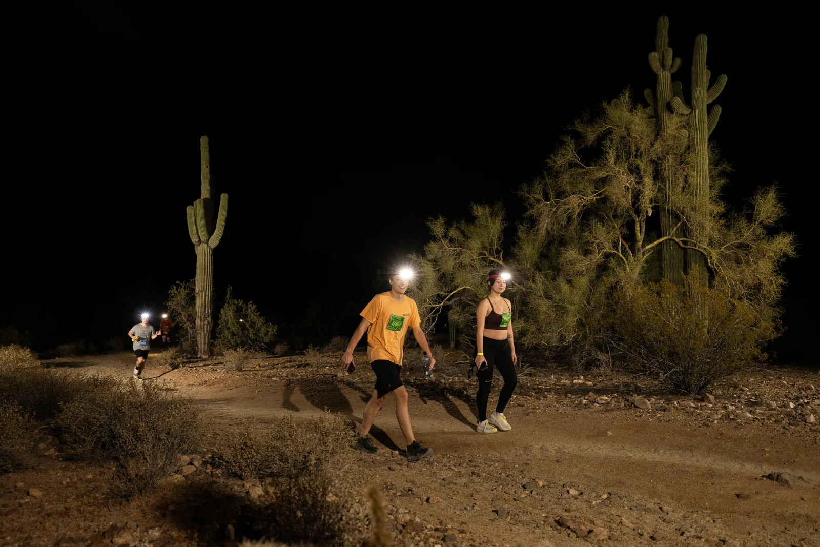 Runners among the saguaros at the Sinister Night Runs in San Tan Mountain Regional Park