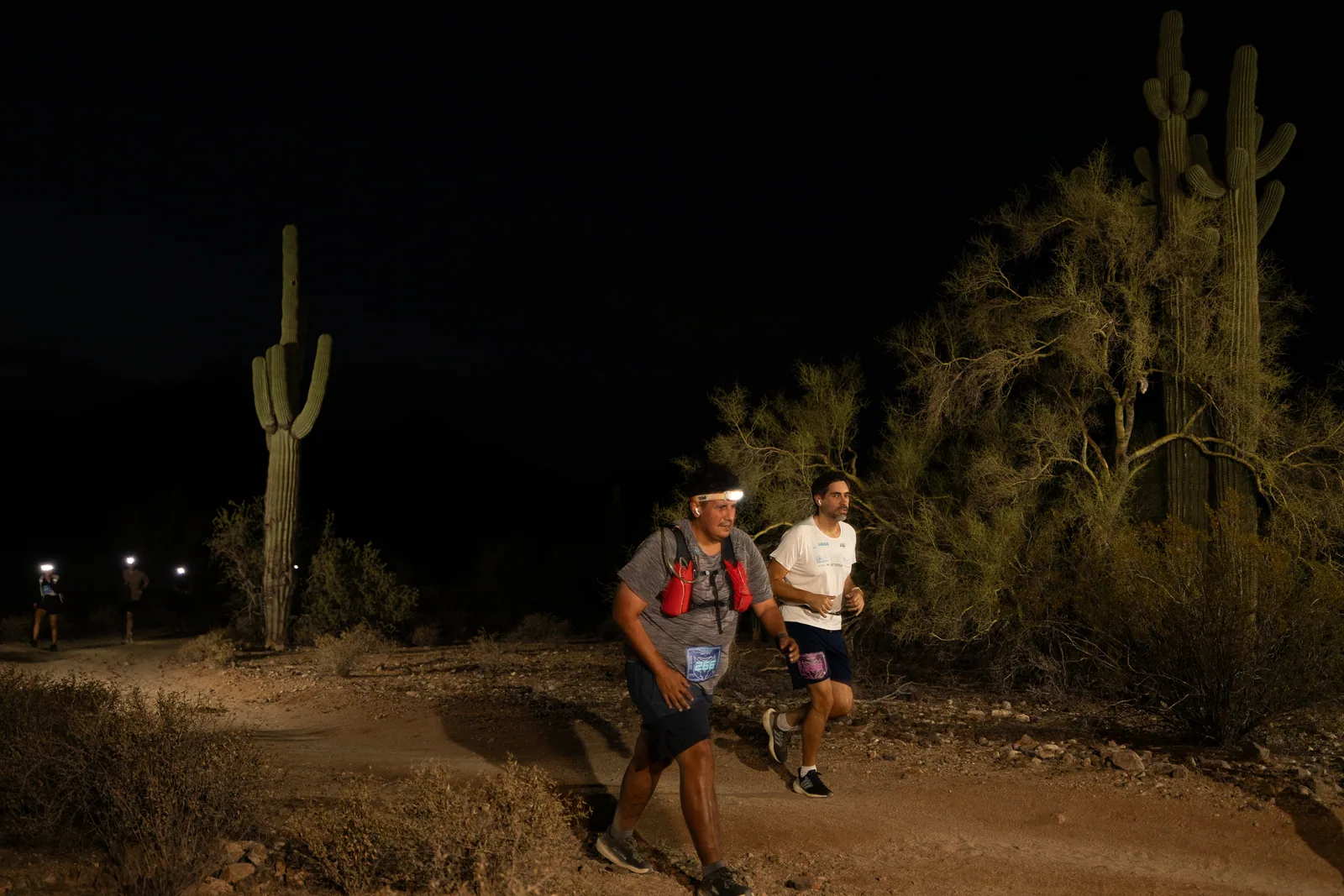 Runners among the saguaros at the Sinister Night Runs in San Tan Mountain Regional Park