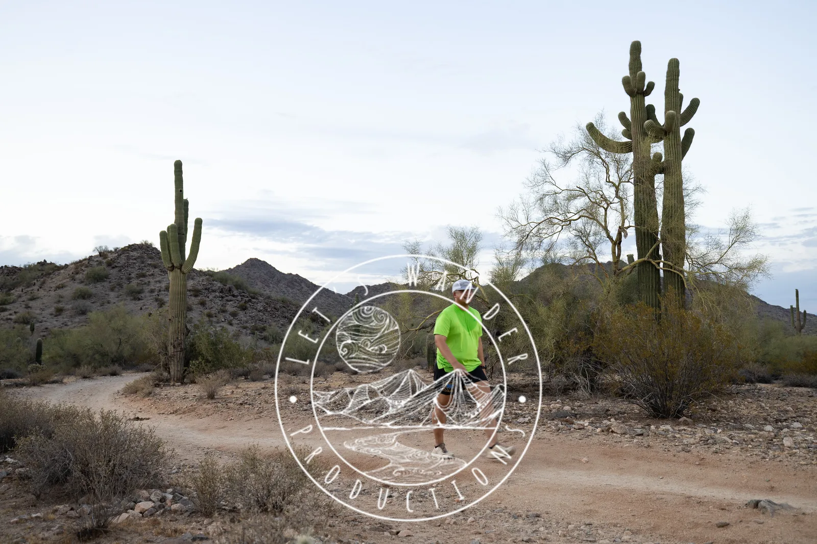 Runners among the saguaros at the Sinister Night Runs in San Tan Mountain Regional Park