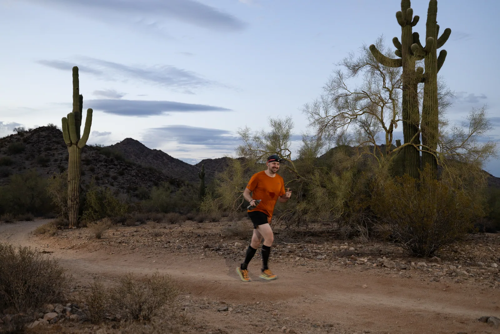 Runners among the saguaros at the Sinister Night Runs in San Tan Mountain Regional Park