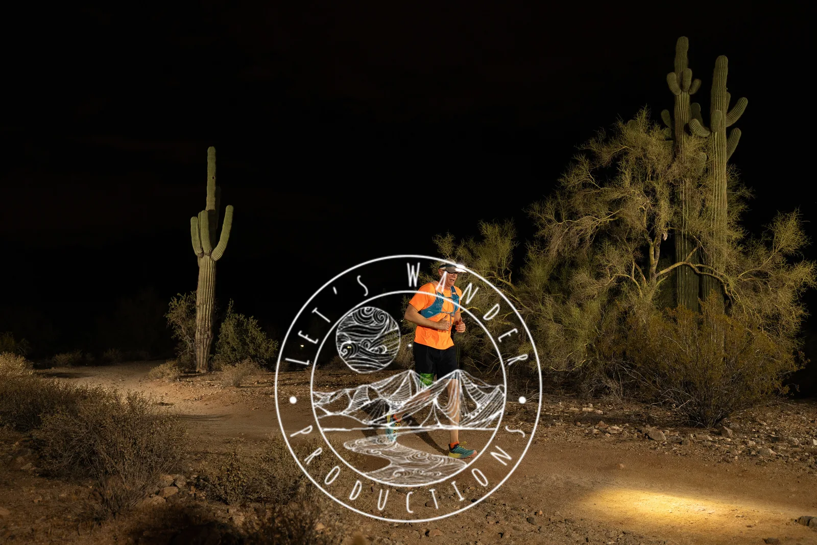 Runners among the saguaros at the Sinister Night Runs in San Tan Mountain Regional Park