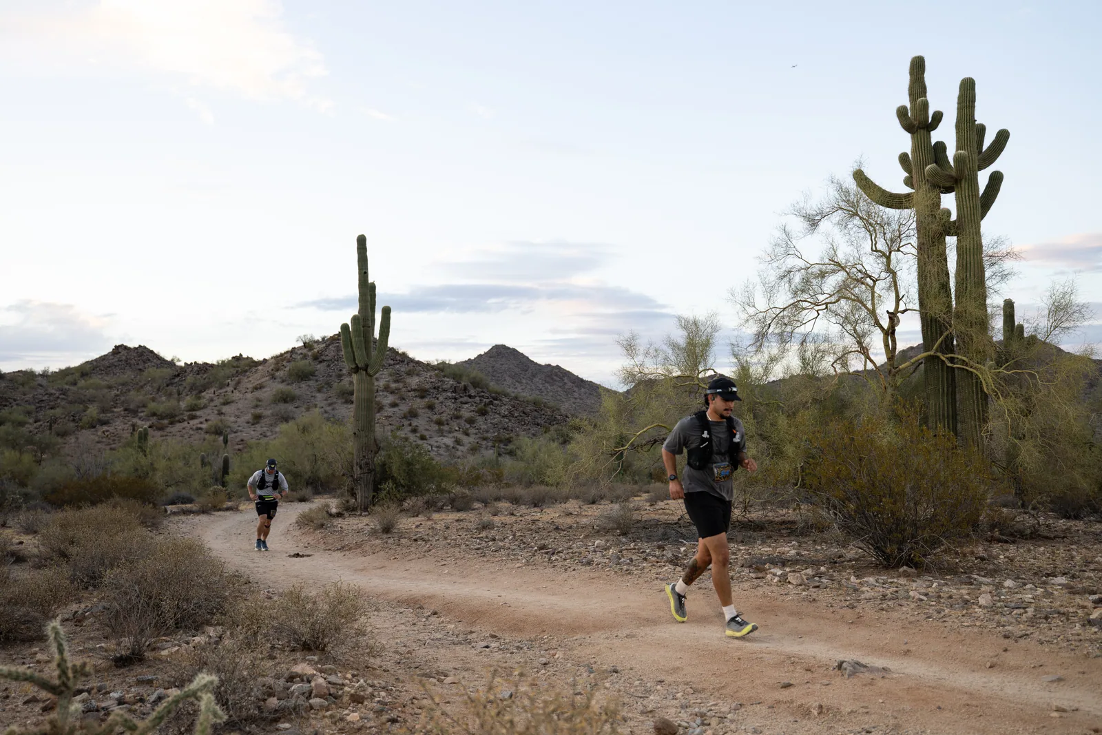 Runners among the saguaros at the Sinister Night Runs in San Tan Mountain Regional Park