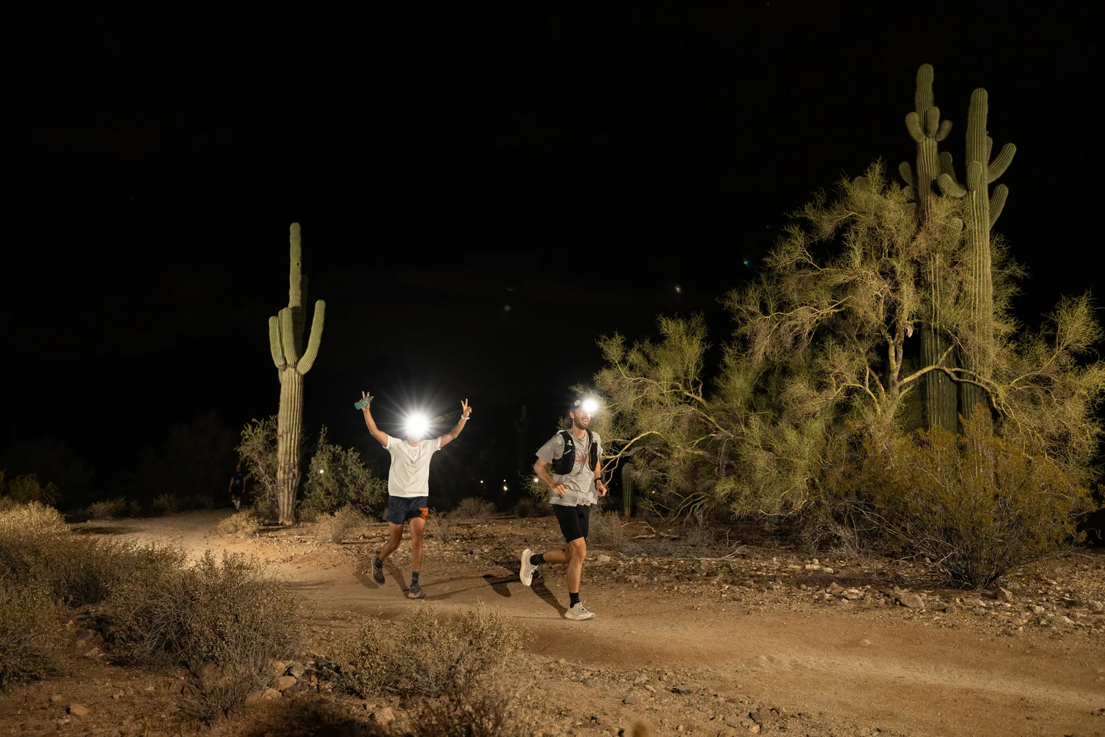 Runners among the saguaros at the Sinister Night Runs in San Tan Mountain Regional Park