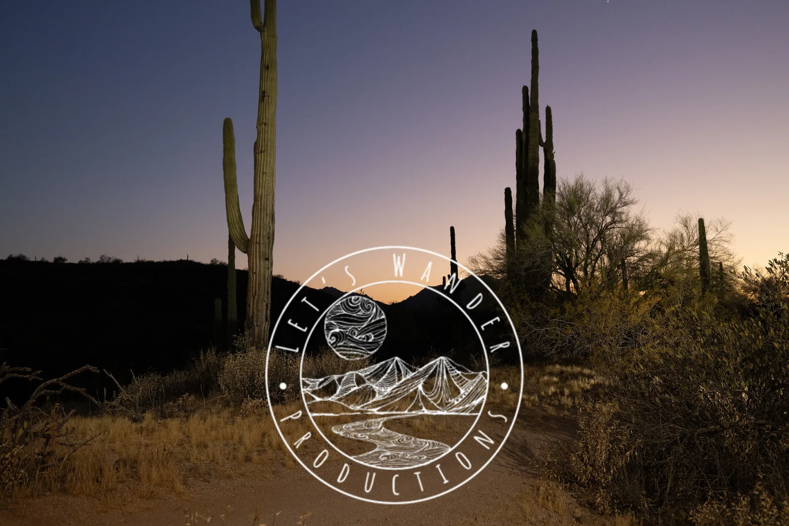 Runners by headlamp at the Adrenaline Night Runs in McDowell Mountain Regional Park