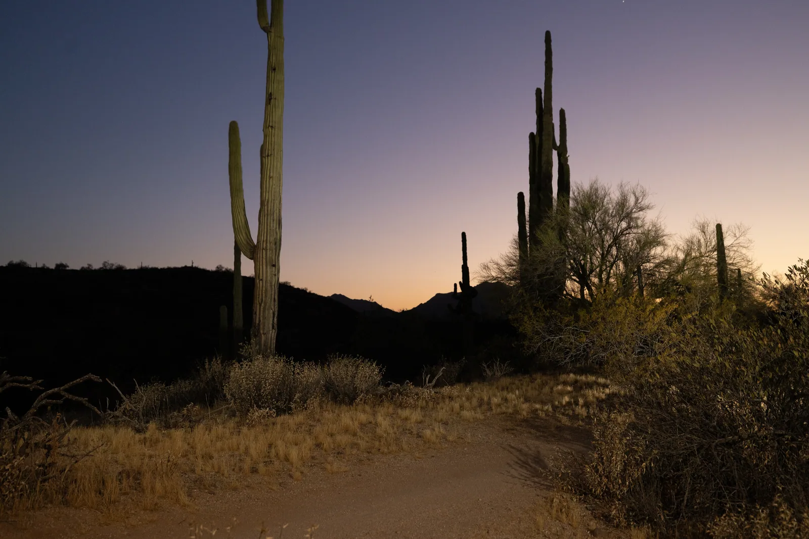 Runners by headlamp at the Adrenaline Night Runs in McDowell Mountain Regional Park