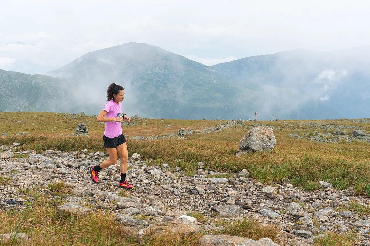 Climbing above treeline