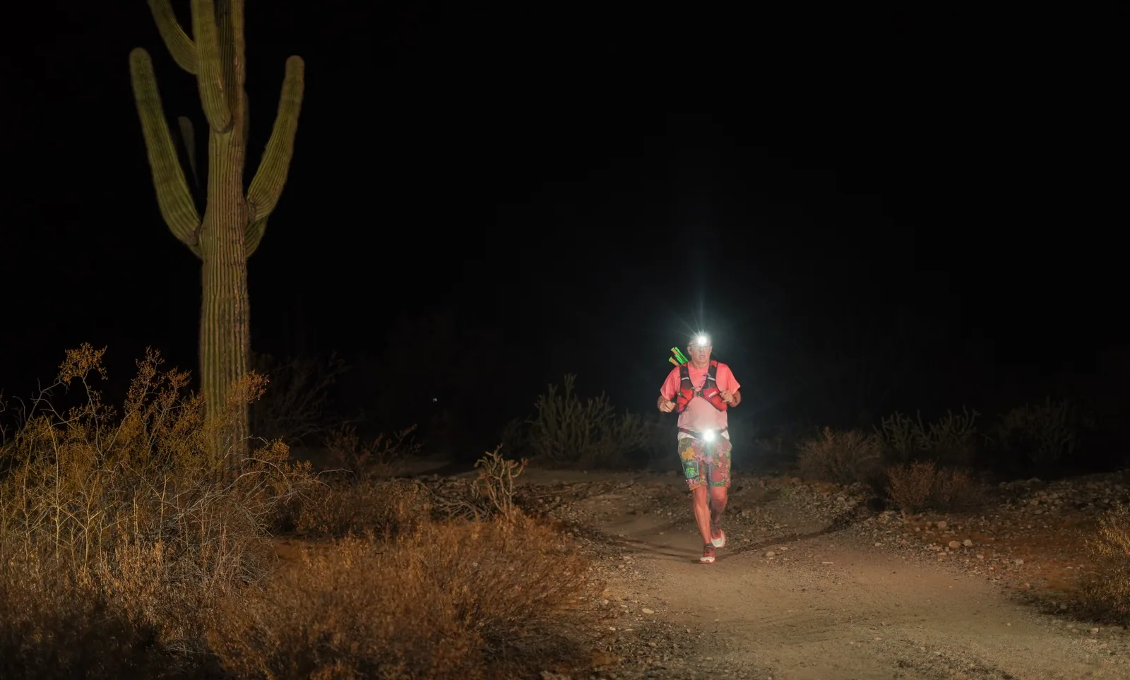 Runners by headlamp at the Vertigo Night Runs in White Tank Mountain Regional Park