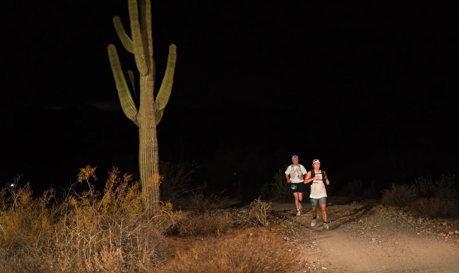 Runners by headlamp at the Vertigo Night Runs in White Tank Mountain Regional Park