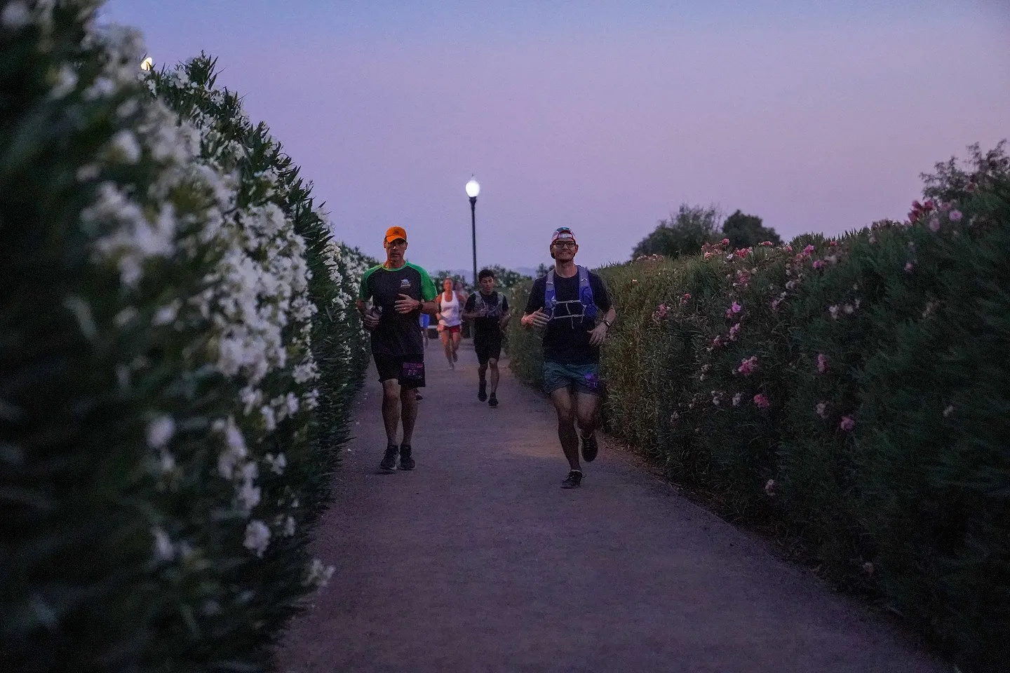 Sunset along the hedge-lined loop