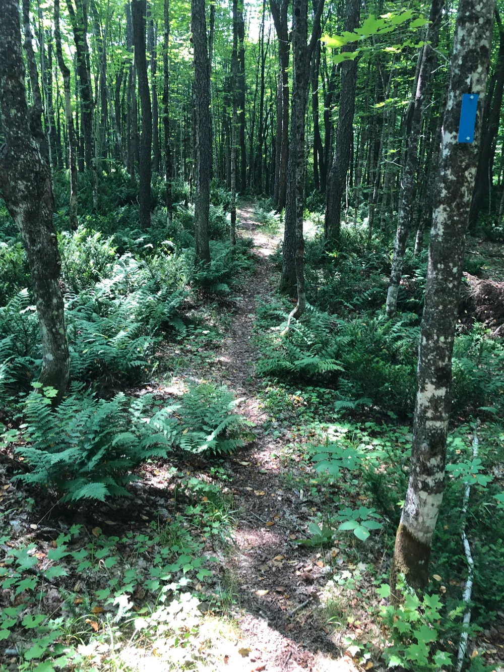 The Rock River Canyon trails