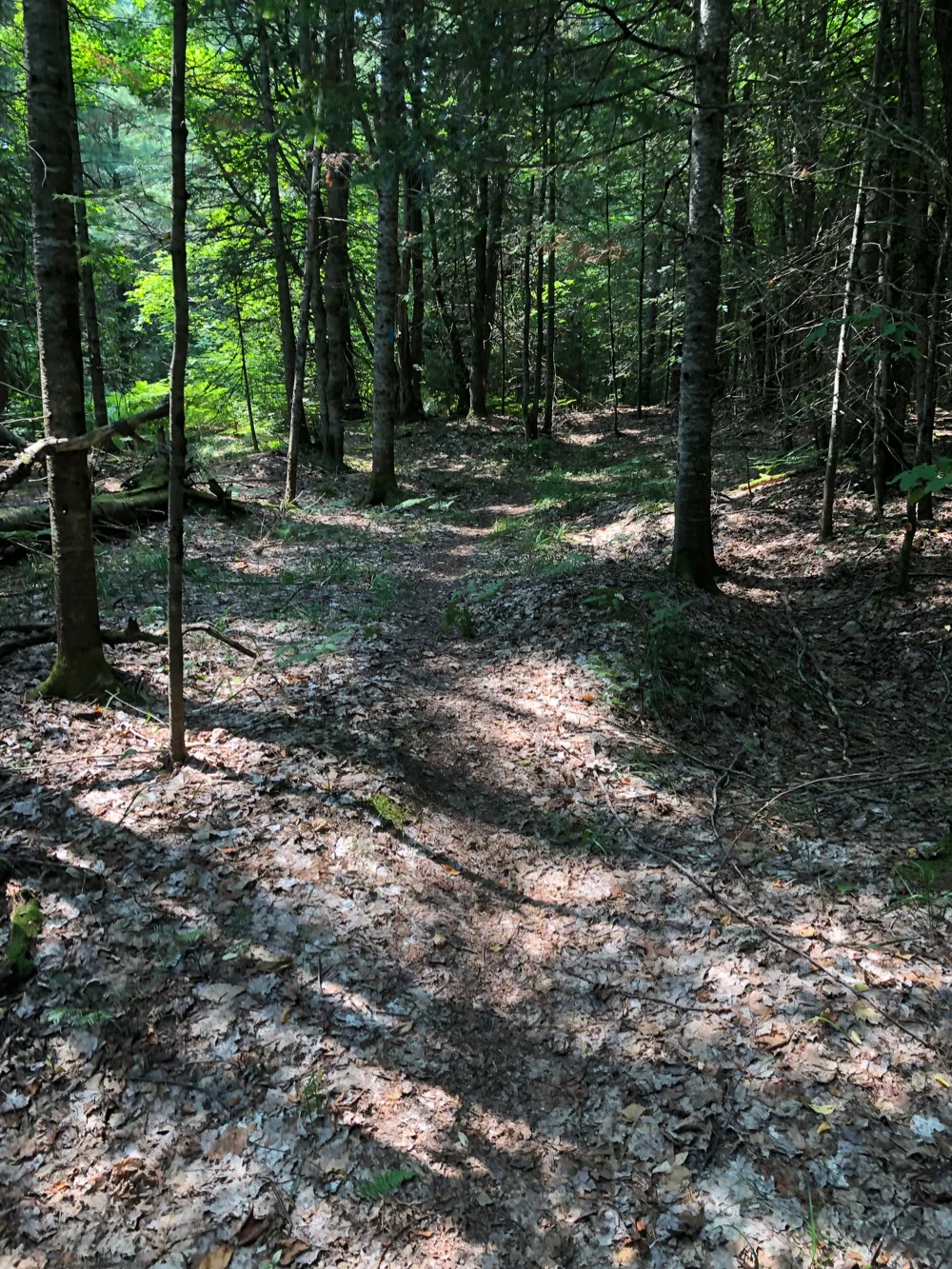The Rock River Canyon trails