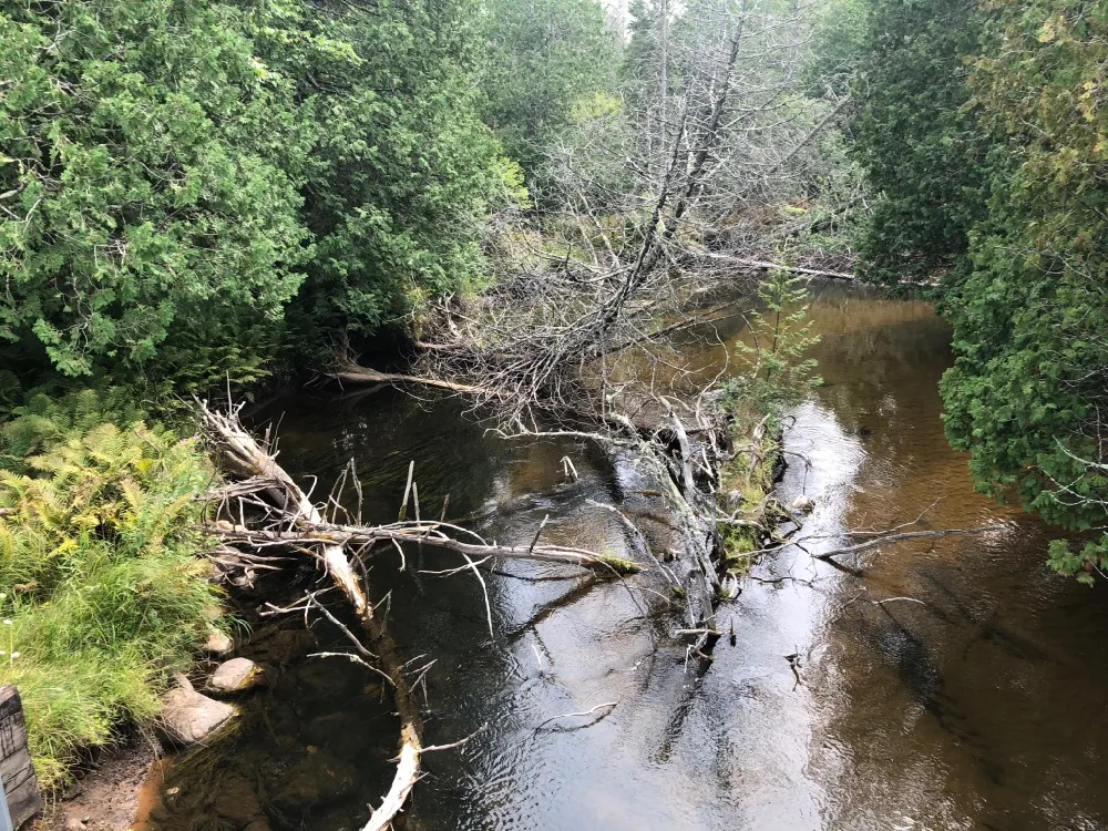 The Rock River Canyon trails