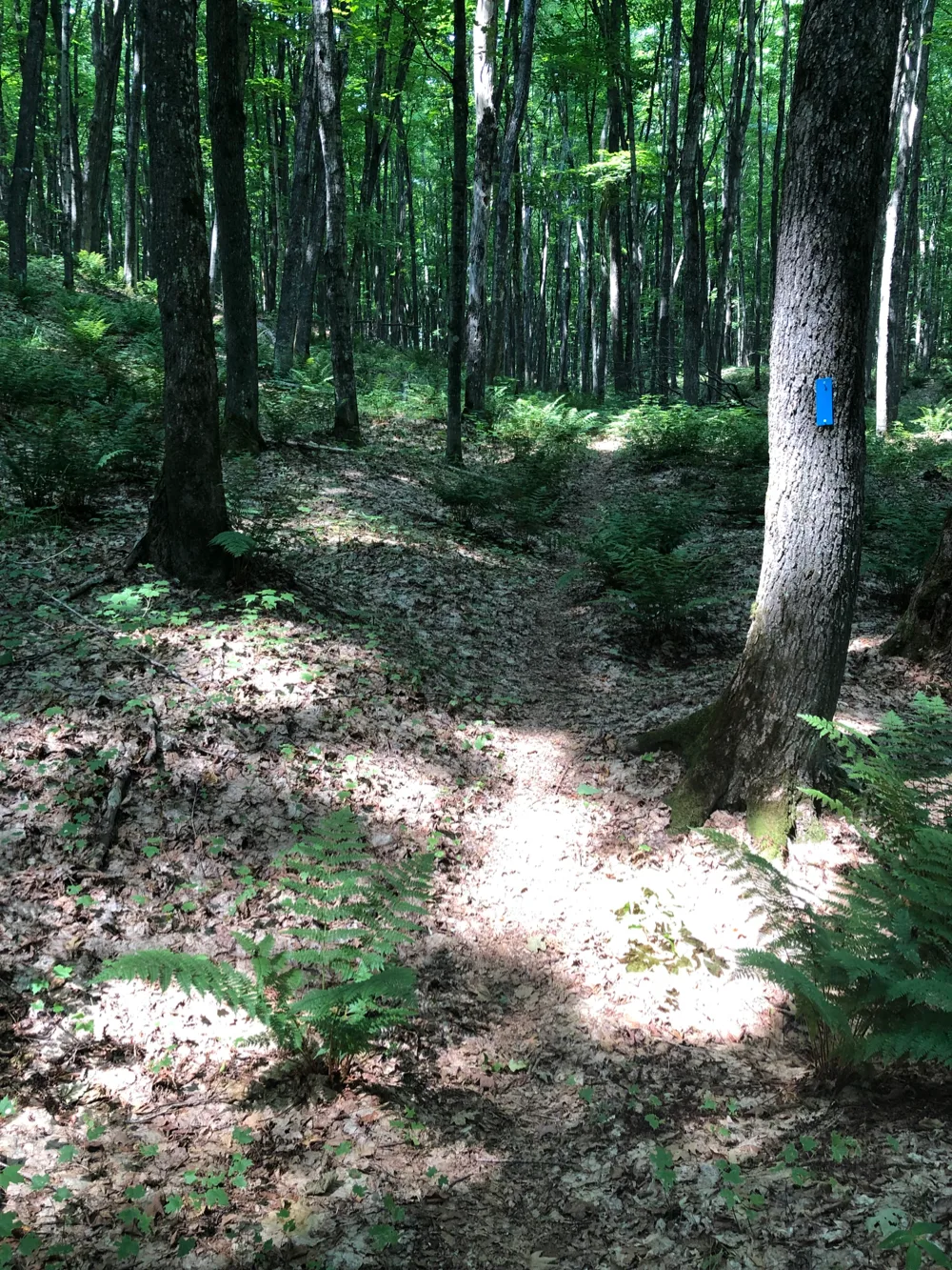 The Rock River Canyon trails