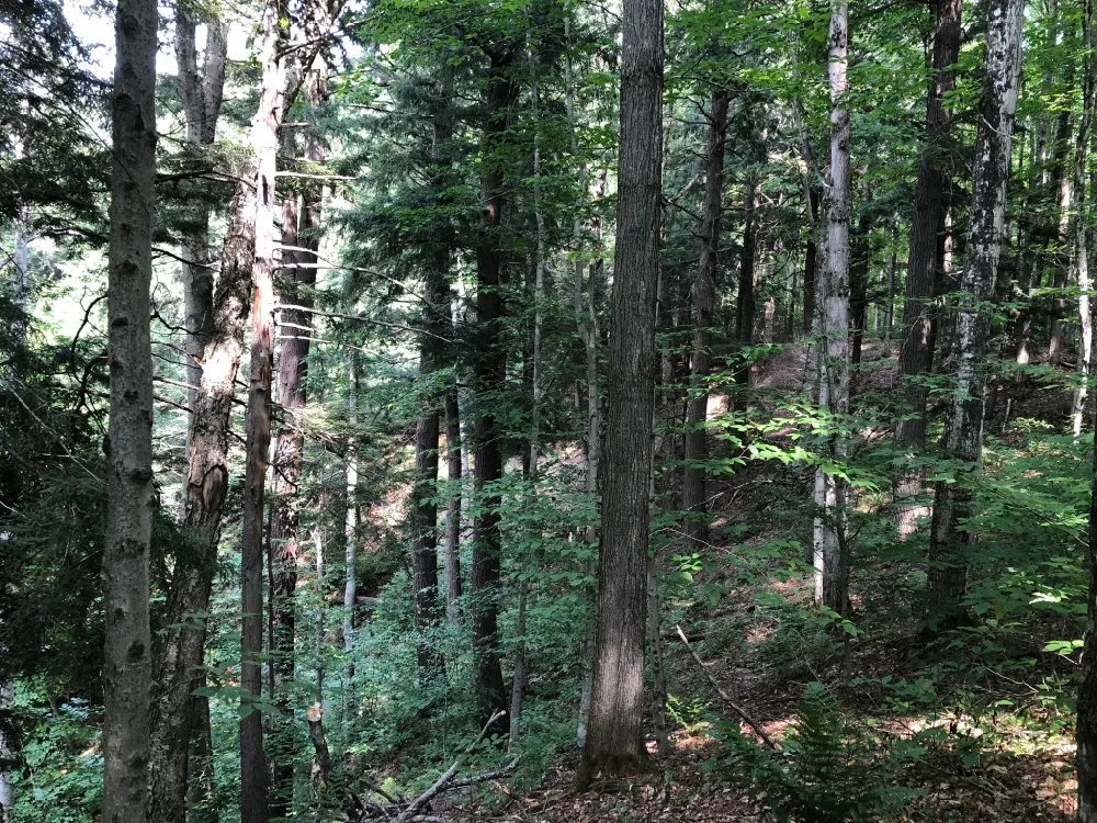 The Rock River Canyon trails
