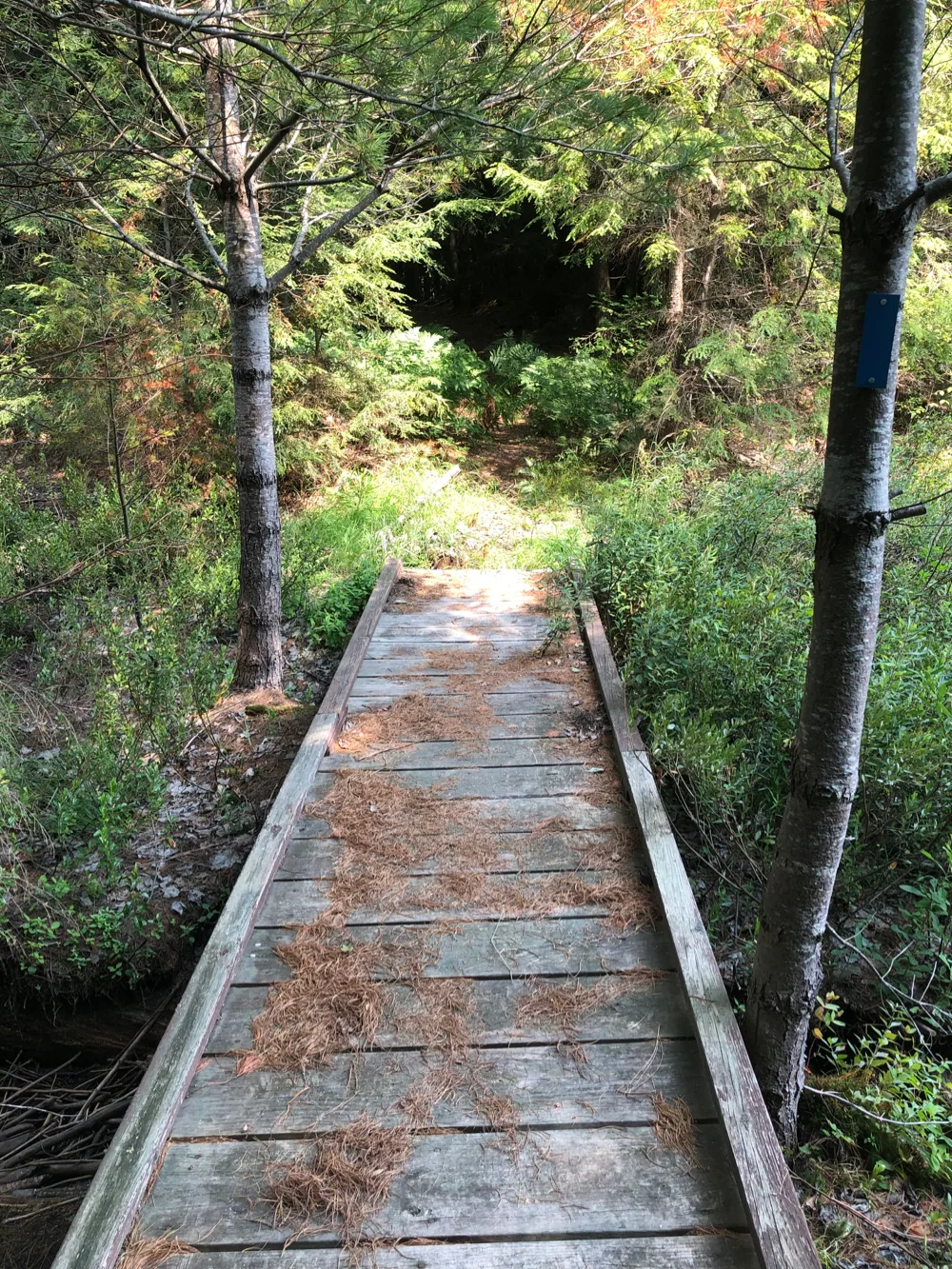 The Rock River Canyon trails