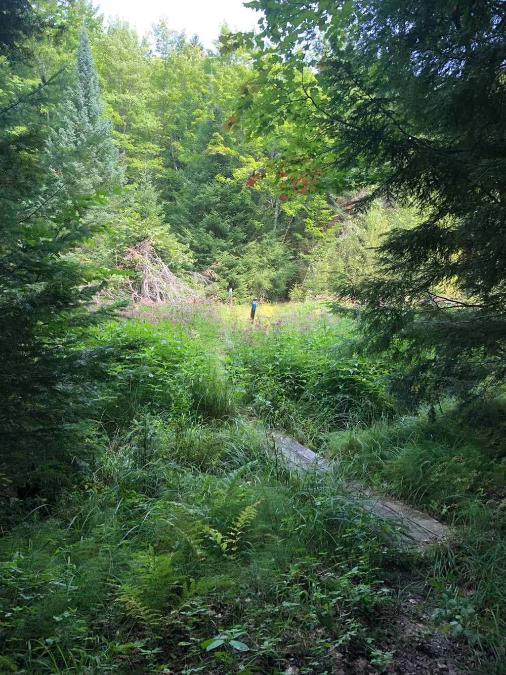 The Rock River Canyon trails