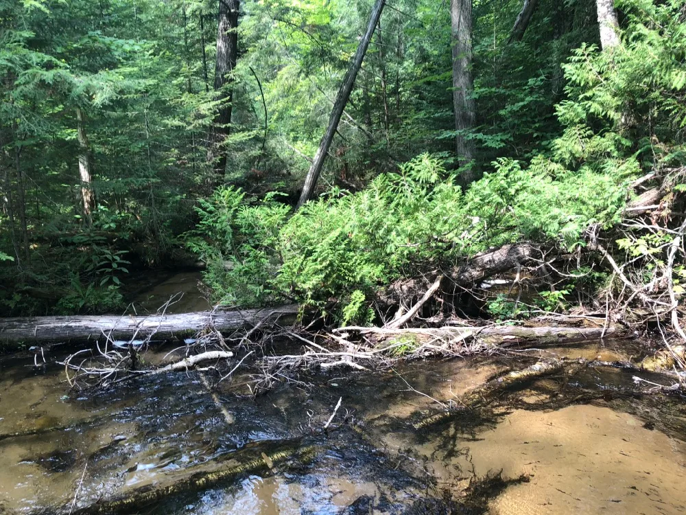 The Rock River Canyon trails