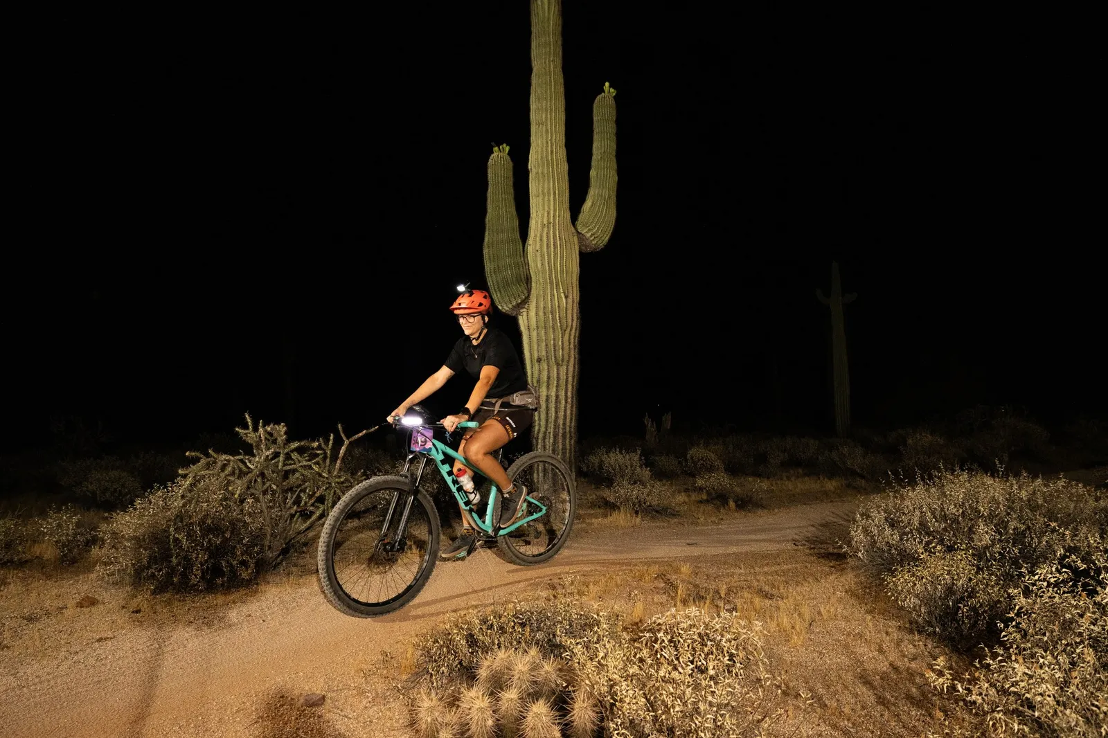 Rider by bike light past a saguaro at the Adrenaline Night Rides in McDowell Mountain Regional Park