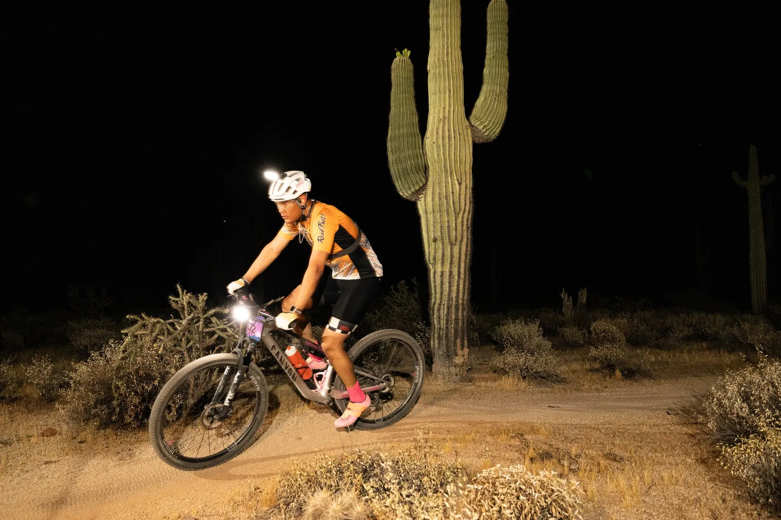 Rider by bike light past a saguaro at the Adrenaline Night Rides in McDowell Mountain Regional Park