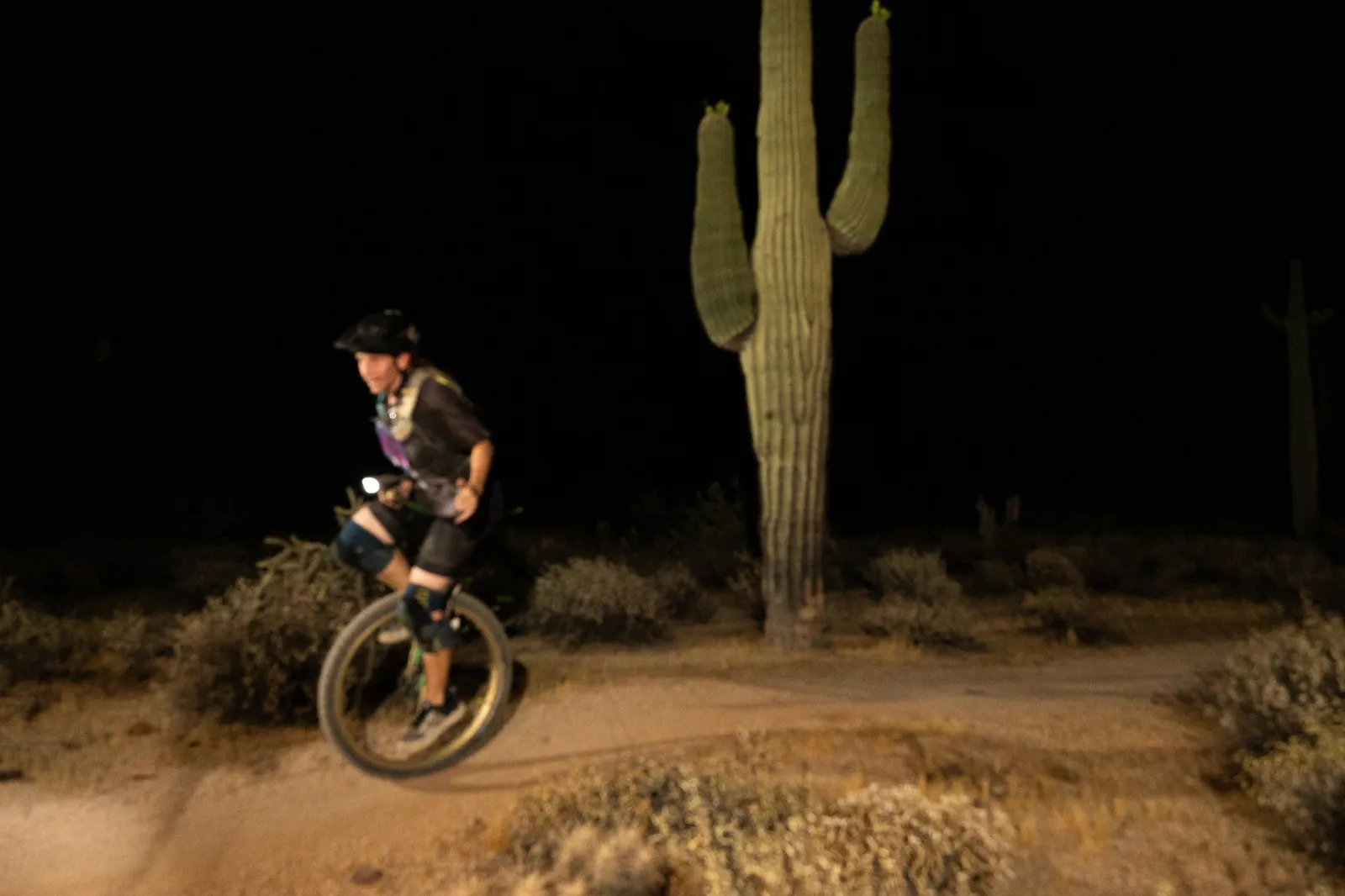 Rider by bike light past a saguaro at the Adrenaline Night Rides in McDowell Mountain Regional Park