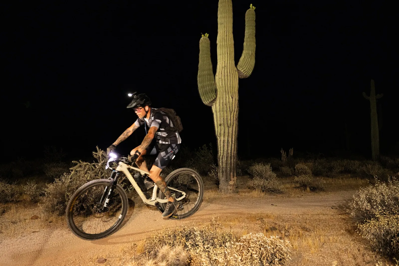 Rider by bike light past a saguaro at the Adrenaline Night Rides in McDowell Mountain Regional Park