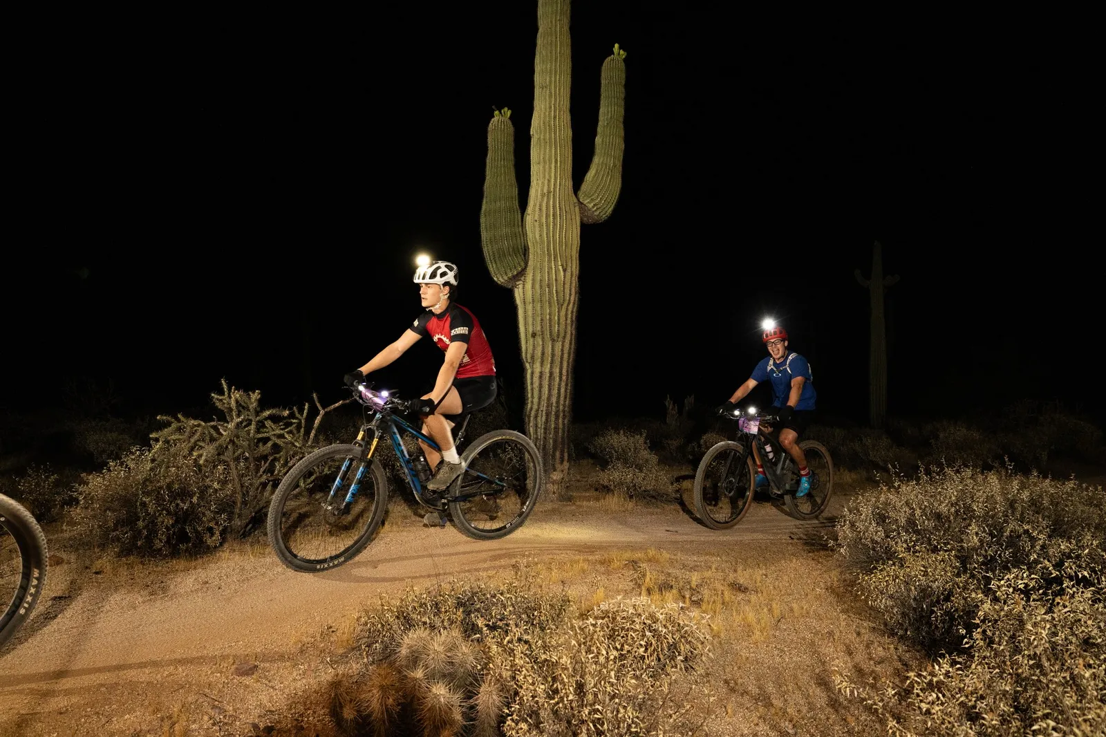 Rider by bike light past a saguaro at the Adrenaline Night Rides in McDowell Mountain Regional Park