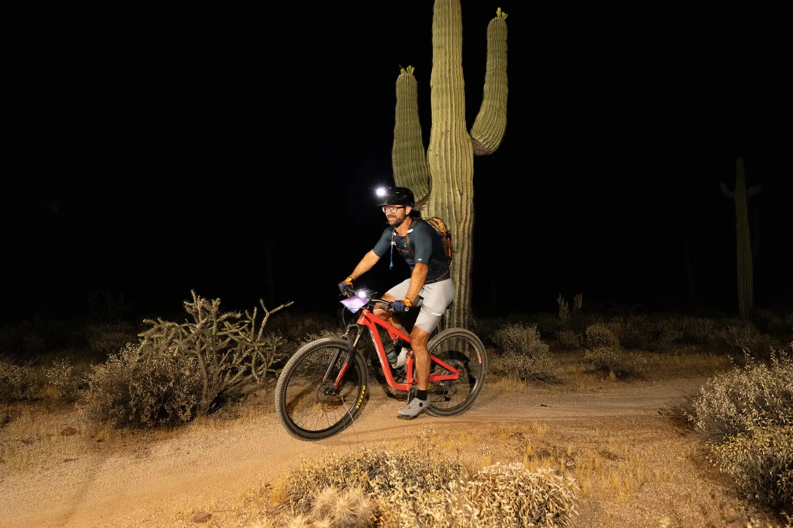 Rider by bike light past a saguaro at the Adrenaline Night Rides in McDowell Mountain Regional Park