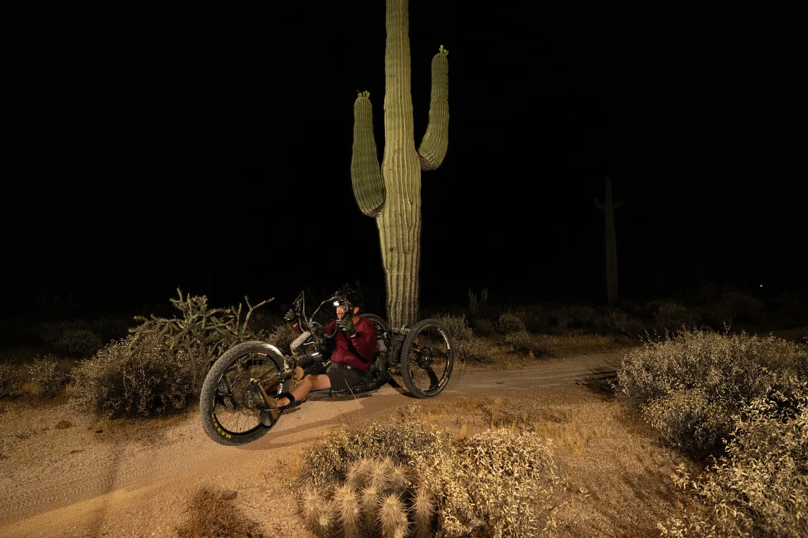 Rider by bike light past a saguaro at the Adrenaline Night Rides in McDowell Mountain Regional Park
