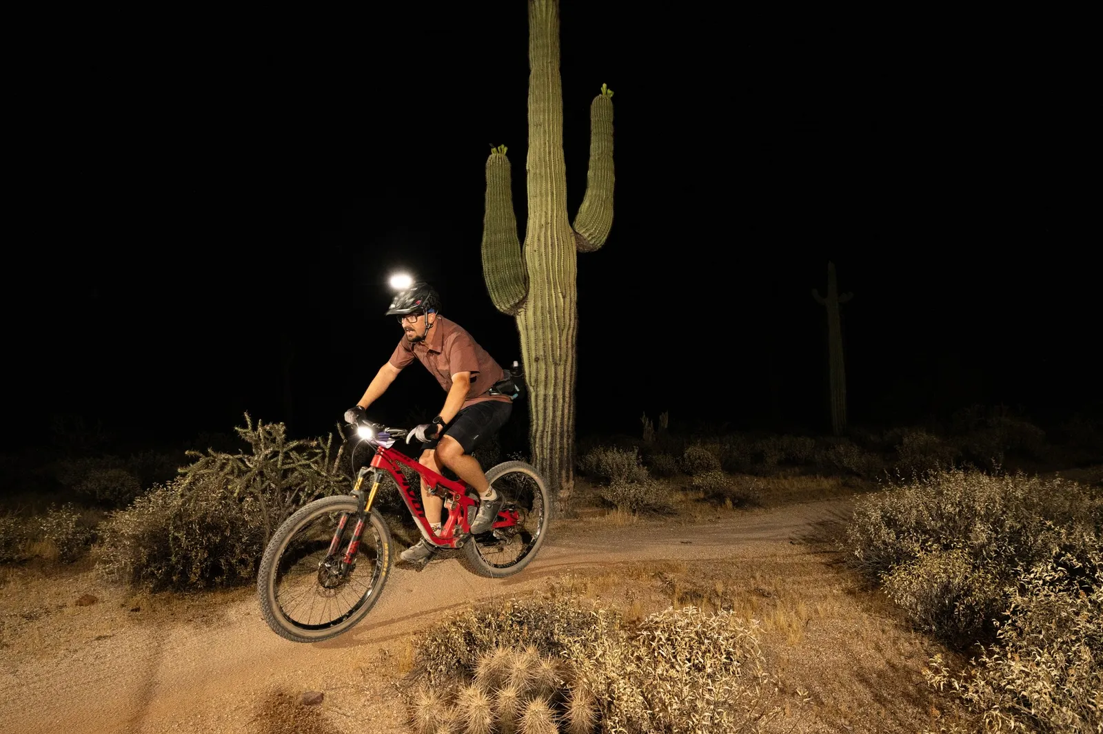 Rider by bike light past a saguaro at the Adrenaline Night Rides in McDowell Mountain Regional Park