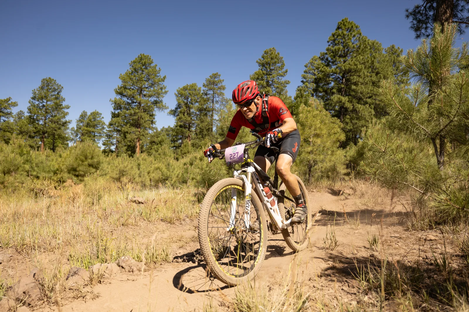 Rider on the Big Woody Rides loop in the pines near Flagstaff