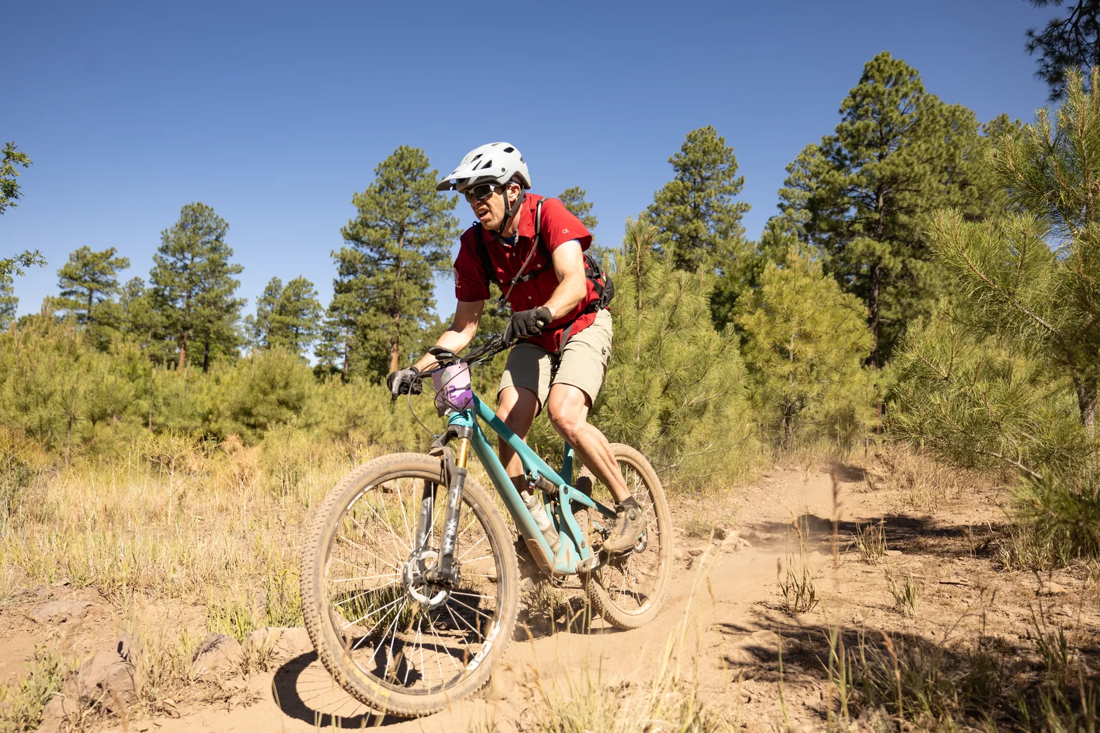 Rider on the Big Woody Rides loop in the pines near Flagstaff