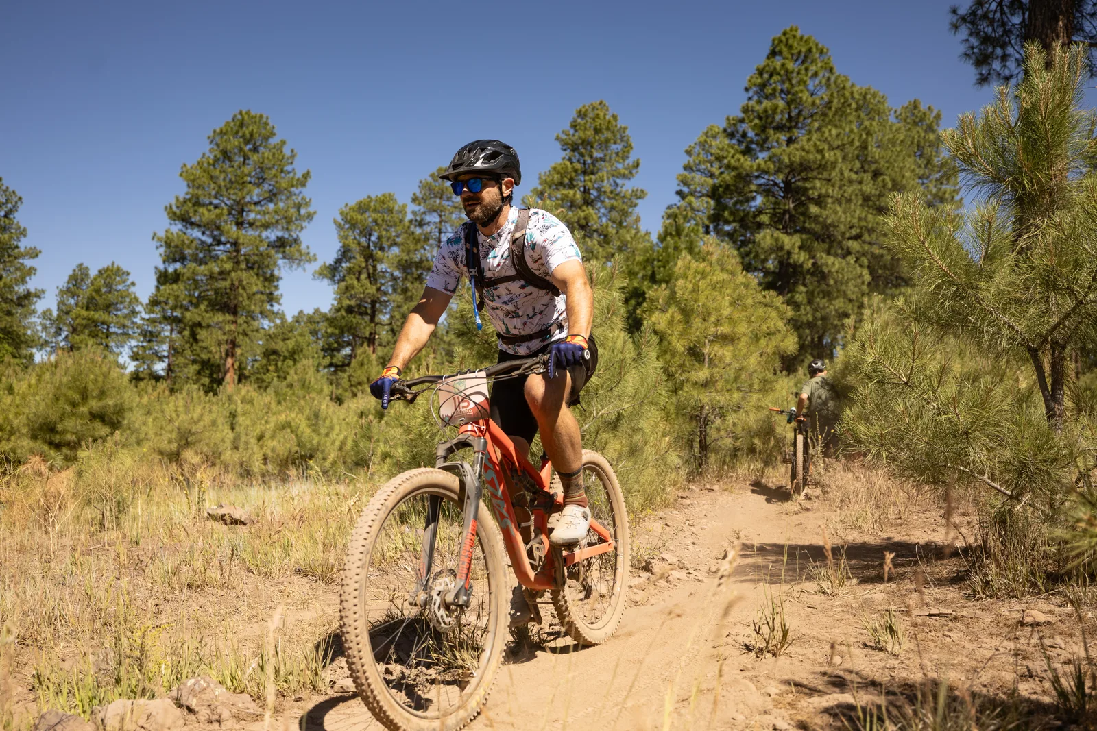 Rider on the Big Woody Rides loop in the pines near Flagstaff