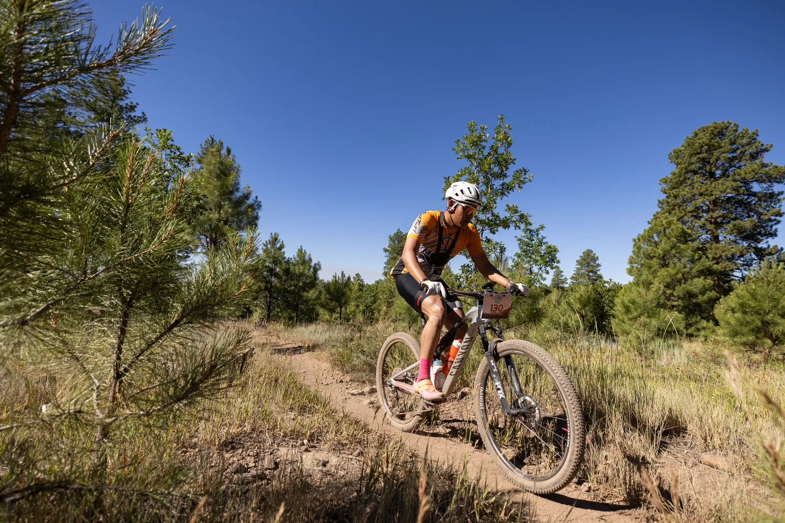 Rider on the Big Woody Rides loop in the pines near Flagstaff