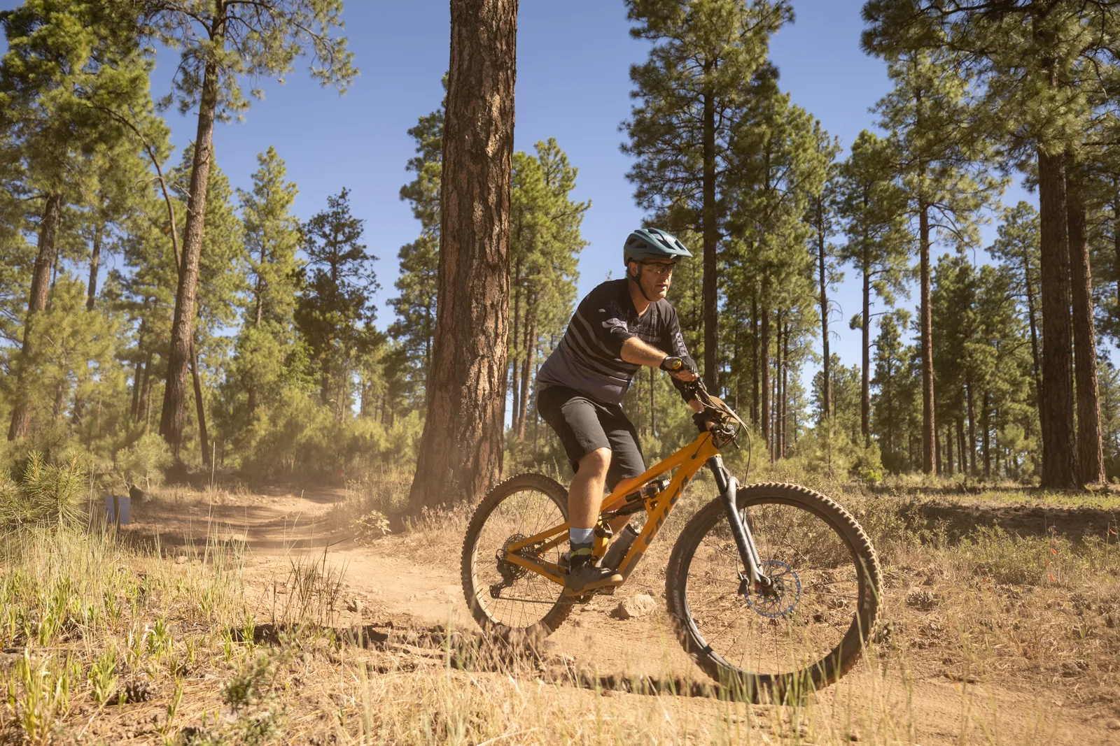 Rider on the Big Woody Rides loop in the pines near Flagstaff